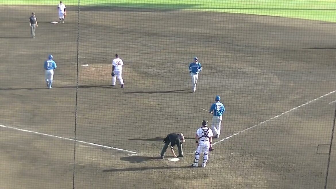 馬場 皐輔 宮崎一樹をショートゴロでなんとか試合終了（読売ジャイアンツ対 日本ハムファイターズ 2軍戦2024年4月16日）