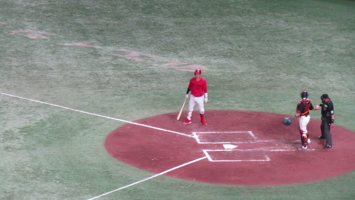 小園海斗〜少し泳がされ内野ゴロを打った時のスイング＜読売ジャイアンツ 対 広島カープ 2024年4月13日＞