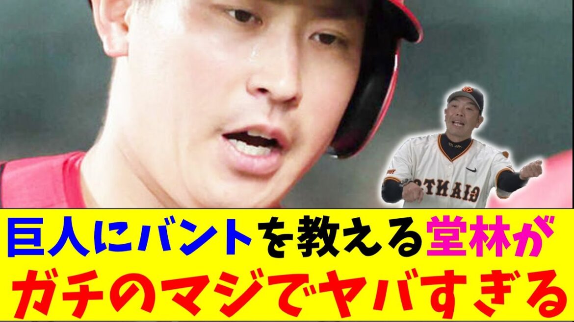 広島・堂林のバントがガチのマジでヤバすぎるとプロ野球ファンの間で話題にｗｗｗ【なんJ反応集】