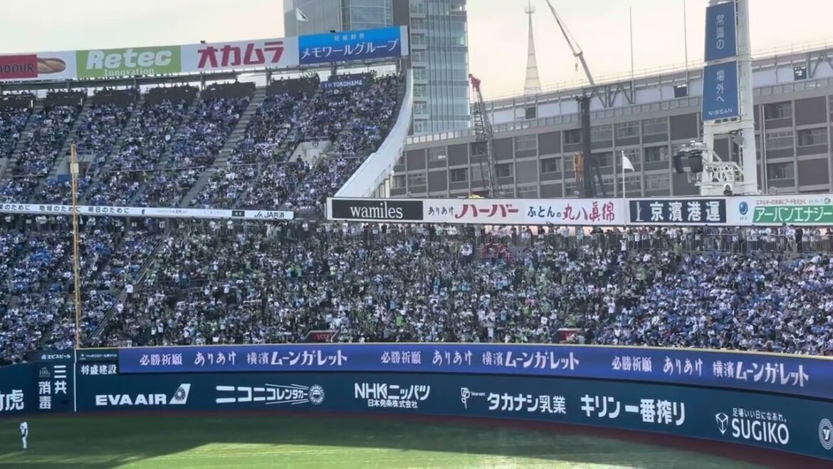 【東京ヤクルトスワローズ】チャンステーマ１(夏祭り)