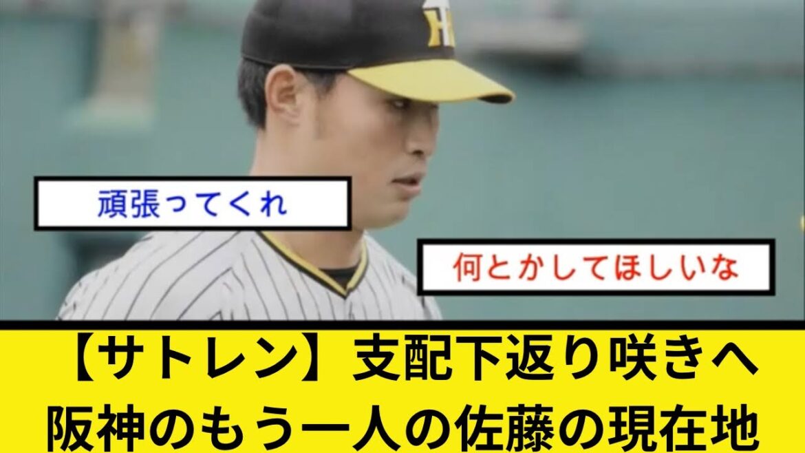 【サトレン】支配下返り咲きへ、阪神のもう一人の佐藤の現在地