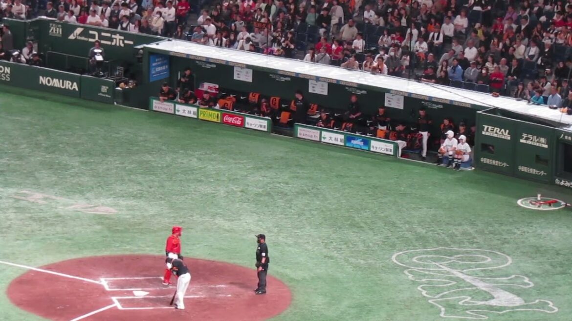 吉川尚輝が送りバントで長野久義を応援する巨人ベンチ＜読売ジャイアンツ 対 広島カープ 2024年4月13日＞