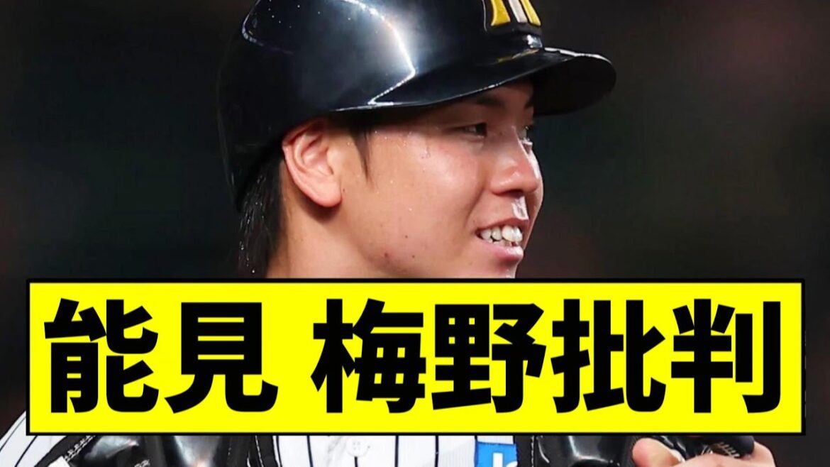 【阪神】能見「打たれてるの全部変化球」 痛烈な梅野批判www【2chスレ】