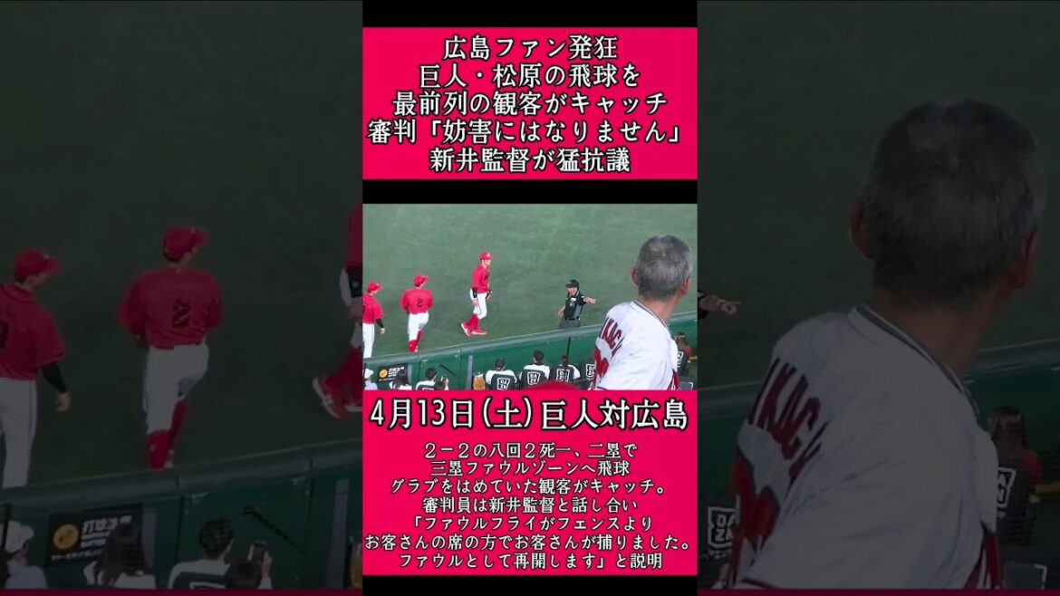 【広島】新井監督が抗議。巨人松原の三塁ファウルゾーンへの飛球を観客がキャッチ！ #広島カープ #巨人 #新井貴浩 #読売ジャイアンツ  #shorts