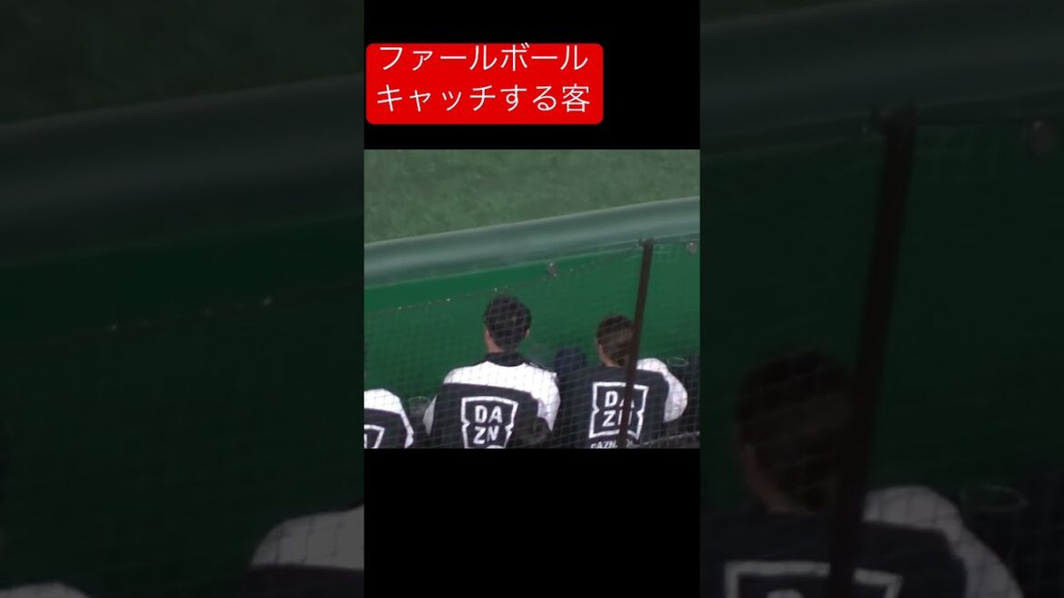 巨人広島線でファールボールを捕ってしまう客を現地から2024/4/13 #プロ野球 #野球
