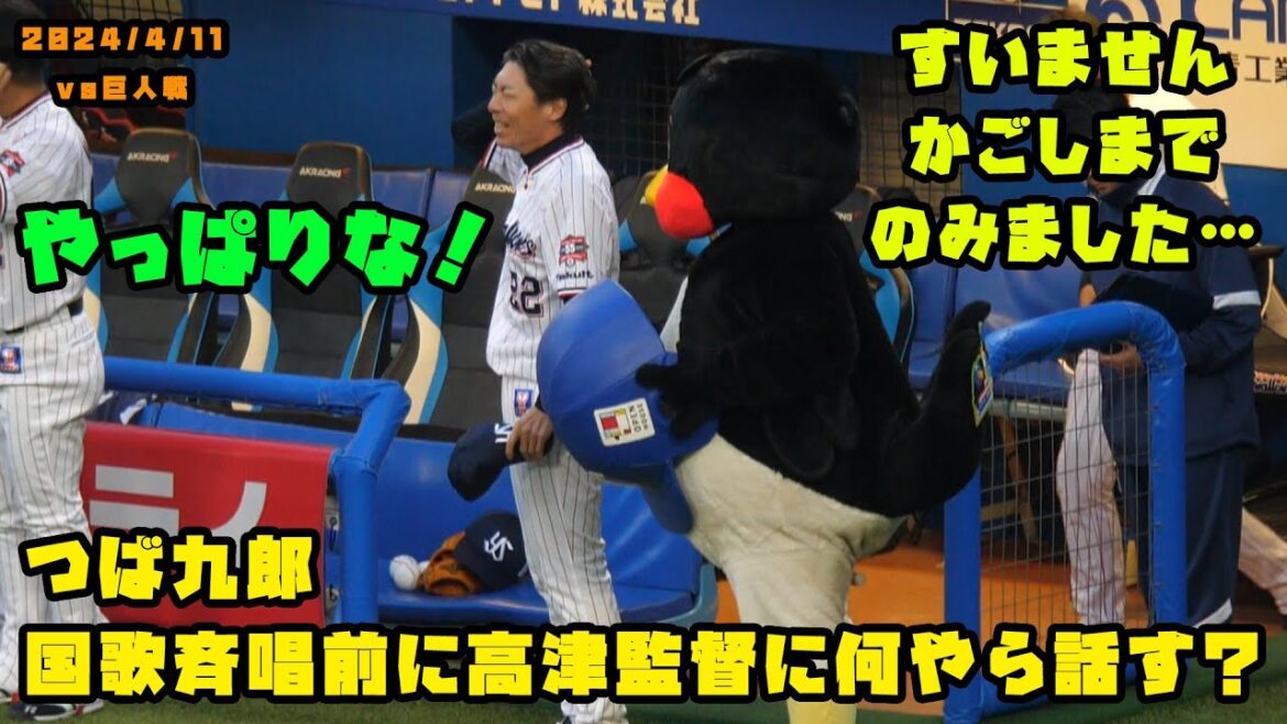 つば九郎　国歌斉唱前に高津監督に何やら話す？　2024/4/11 vs巨人
