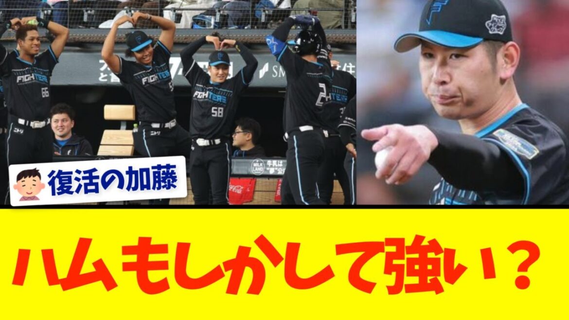 日本ハム４連勝！新庄政権初の貯金３！