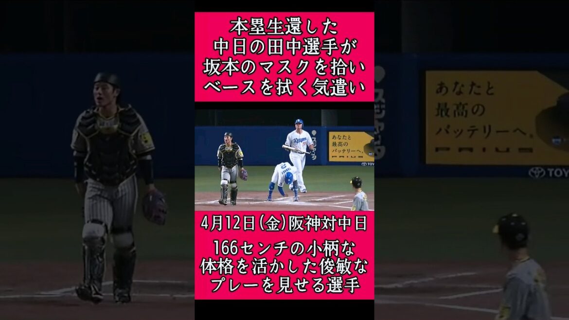 【阪神】坂本誠志郎捕手のマスクを拾う中日の田中幹也選手！ #阪神 #阪神タイガース #田中幹也  #坂本誠志郎 #shorts