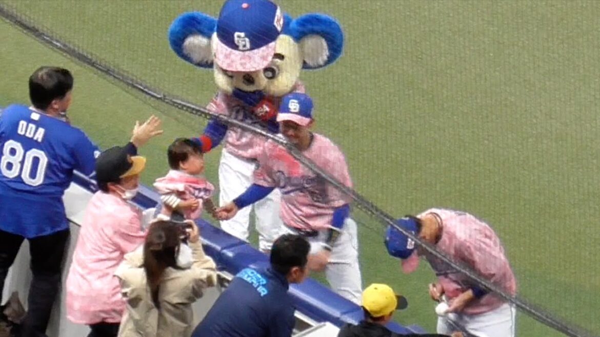 今日のヒーロー宇佐見真吾と山本泰寛がサクラ色に染まったドームを一周しファンと触れ合う　中日ドラゴンズVS阪神タイガース　2024/04/13