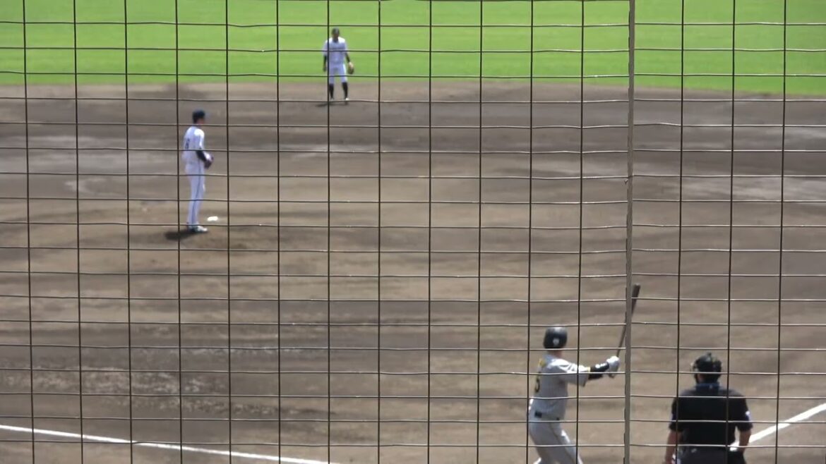 阪神タイガース 渡邉諒選手 第1打席 サードゴロ 2024/4/19 ちゅーるスタジアム VS くふうハヤテベンチャーズ 奥田域太投手