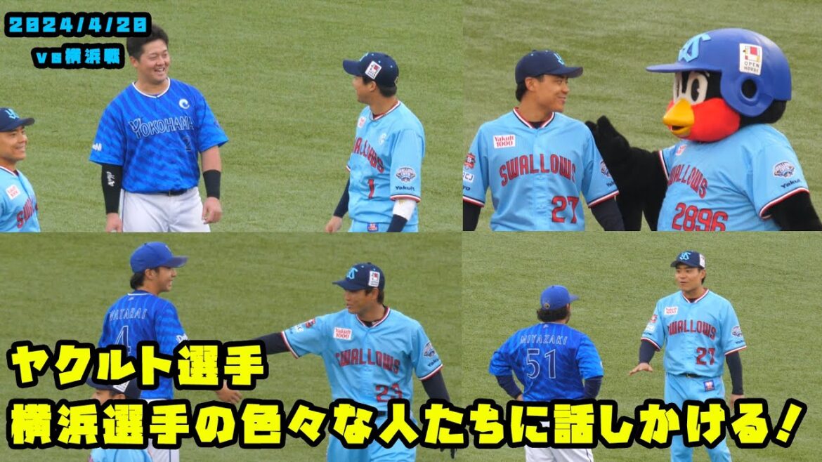 ヤクルト選手　横浜選手の色々な人たちに話しかける！！　2024/4/20 vs横浜