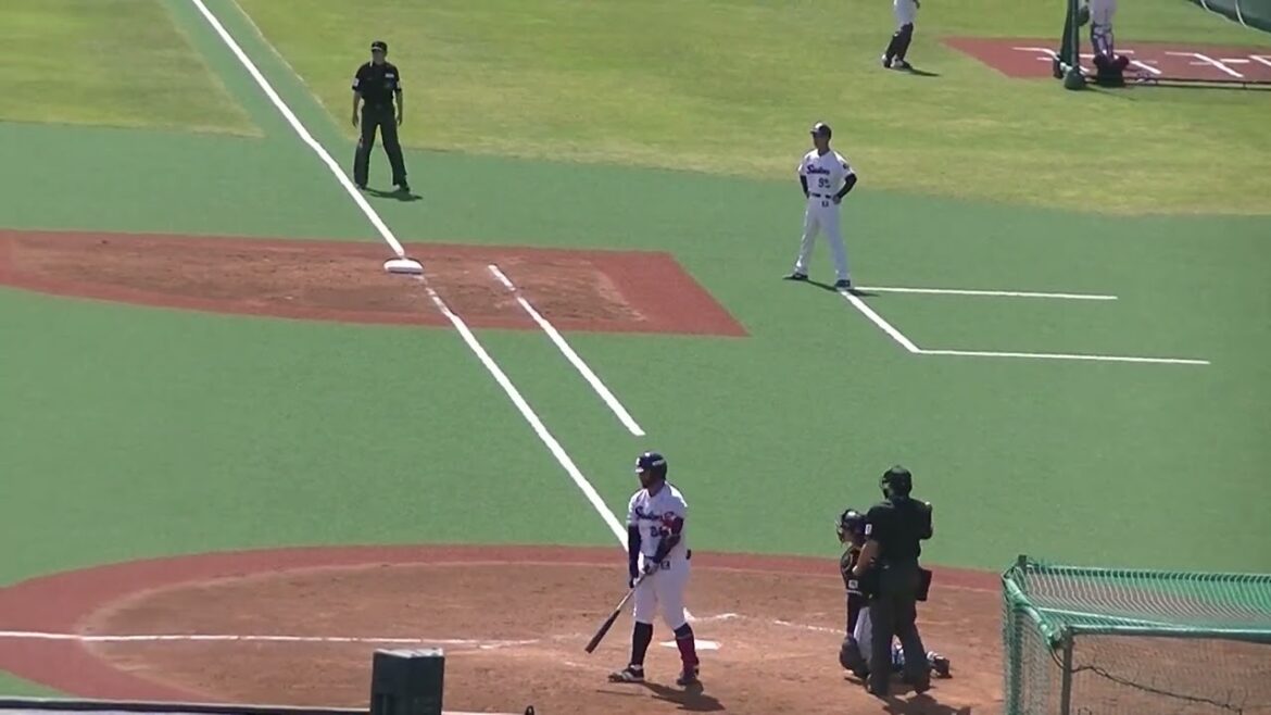 三ツ俣大樹の高く上がったフライ 風に流されて井上晴哉 捕れず【ヤクルトスワローズ対 千葉ロッテマリーンズ イースタン2024年4月19日】