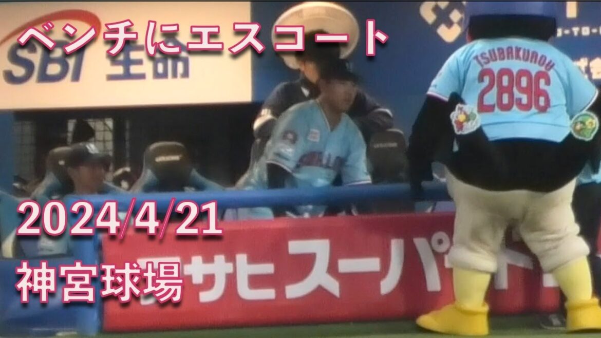 つば九郎、ちびっ子をベンチにエスコート 2024/4/21