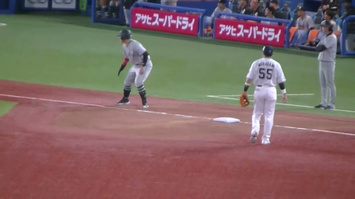 小林誠司のショートゴロ 長岡秀樹の守備（2024年4月11日 ヤクルトスワローズ 対 読売ジャイアンツ）