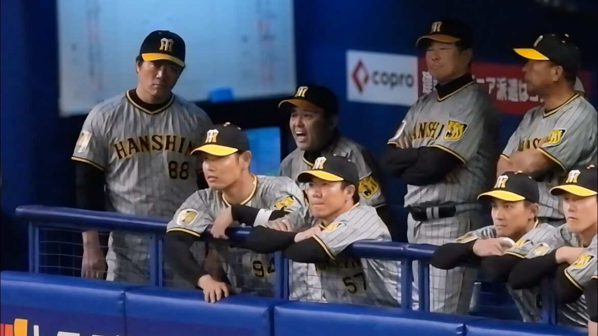 【そら気合い入りまくりよ】7回裏のピンチからベンチで声を出したりニコニコしたり1球1球に対してテンション爆上がりする岡田監督 2024.4.14