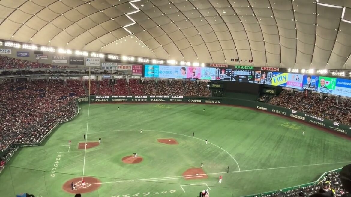 2024 広島カープ 矢野雅哉 応援歌