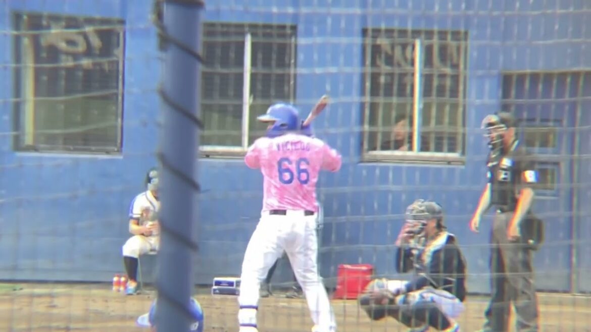 ファーム 1人だけ打球音がレベチなビシエド(2024/4/20)