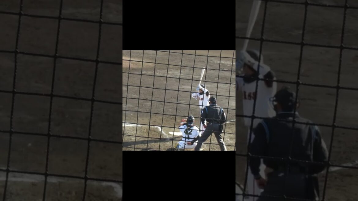 重信慎之介2024バッティングフォーム（練習試合 読売ジャイアンツ対 尚武フェニックス2024年3月3日）