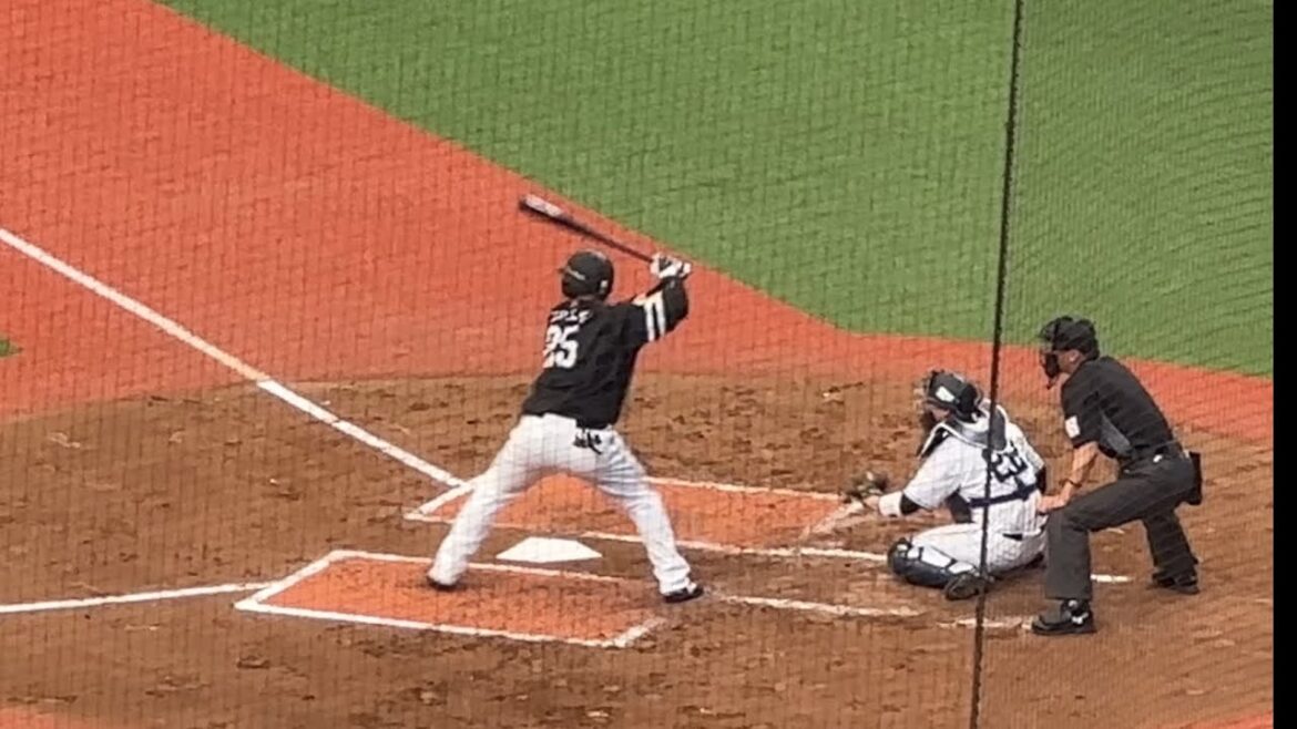 髙橋光成vs山川穂高❷ 【西武vsソフトバンク】2024/4/14