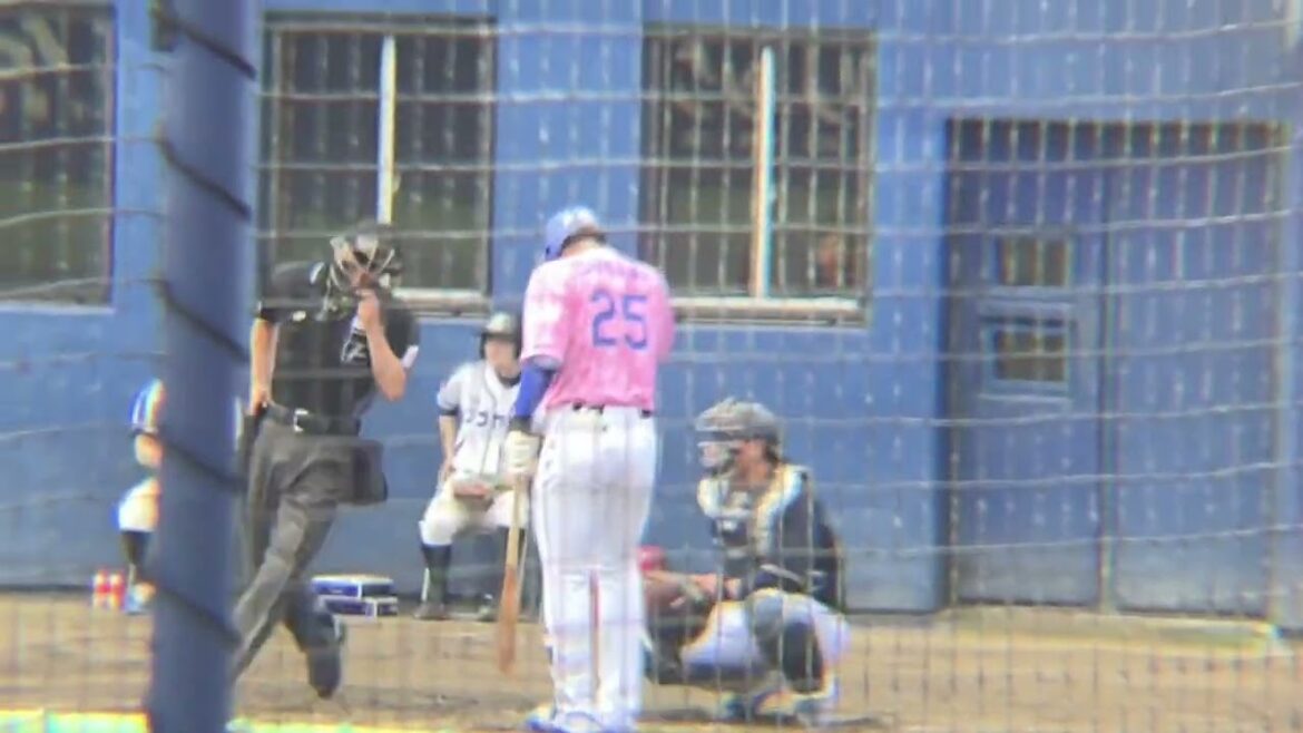 ファーム 第一打席惜しくもレフトフライになる石川昂弥(2024/4/20)