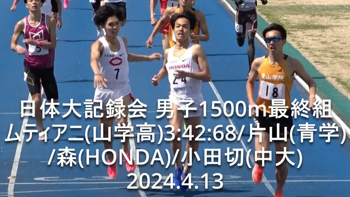 『片山(青学)3:44:57/森凪(HONDA)3:44:87/小田切(中大)3:45:03』日体大記録会 男子1500m最終組 2024.4.13 『片山(青学)3:44:57/森凪(HONDA)3:44:87/小田切(中大)3:45:03』日体大記録会 男子1500m最終組 2024.4.13