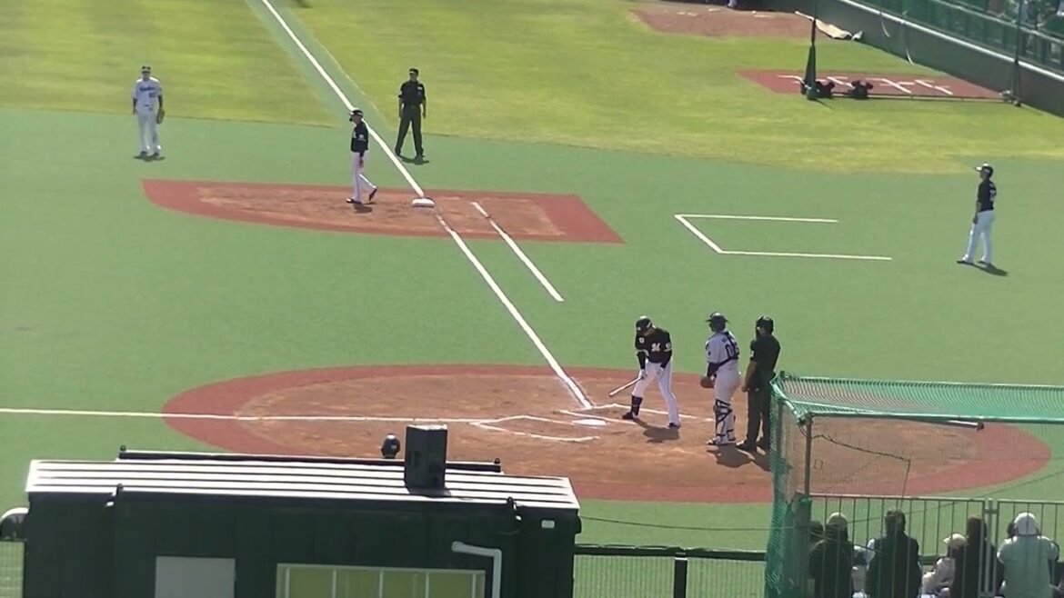 菅野剛士のタイムリーヒット【ヤクルトスワローズ対 千葉ロッテマリーンズ イースタン2024年4月19日】