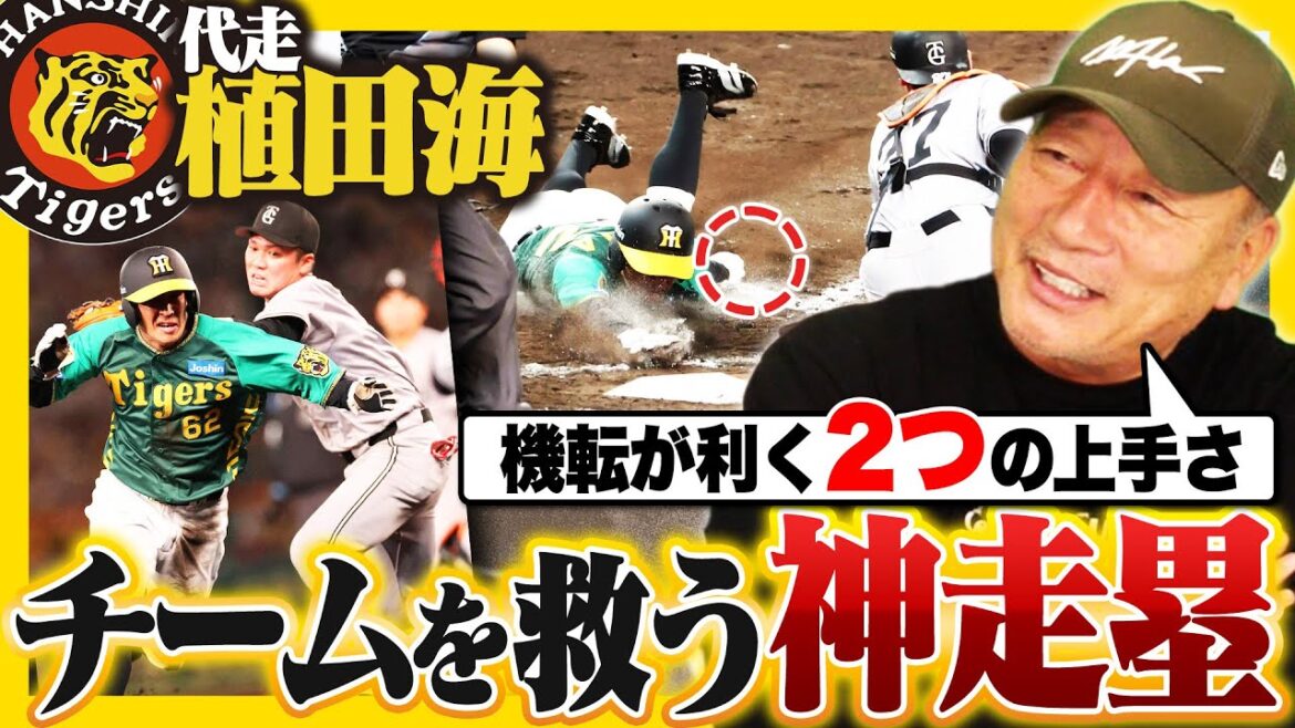 【神走塁】阪神代走の植田が"神回避"で同点演出‼︎挟殺プレーとタッチアップから見えた2つの凄さとは⁉︎神走塁を高木豊が徹底解説します‼︎