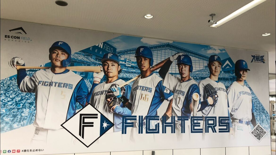 【千葉ロッテマリーンズ戦】3階席 外野ライトからの観戦‼️全体が良く見える‼️この日4対2でファイターズの勝ち✌️#エスコンフィールドhokkaido#ファイターズ#パリーグ