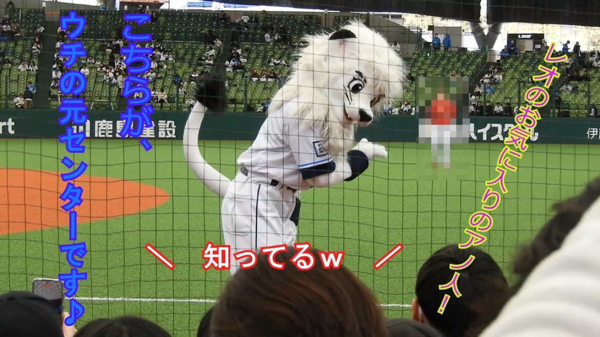 アノ人を見つけて、獅子、まっしぐら！【広島東洋カープ・スタメン応援歌】