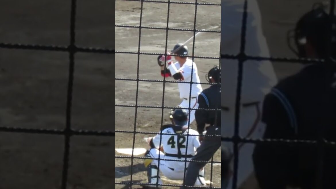 中山礼都のバッティングフォーム（練習試合 読売ジャイアンツ対 尚武フェニックス2024年3月3日）