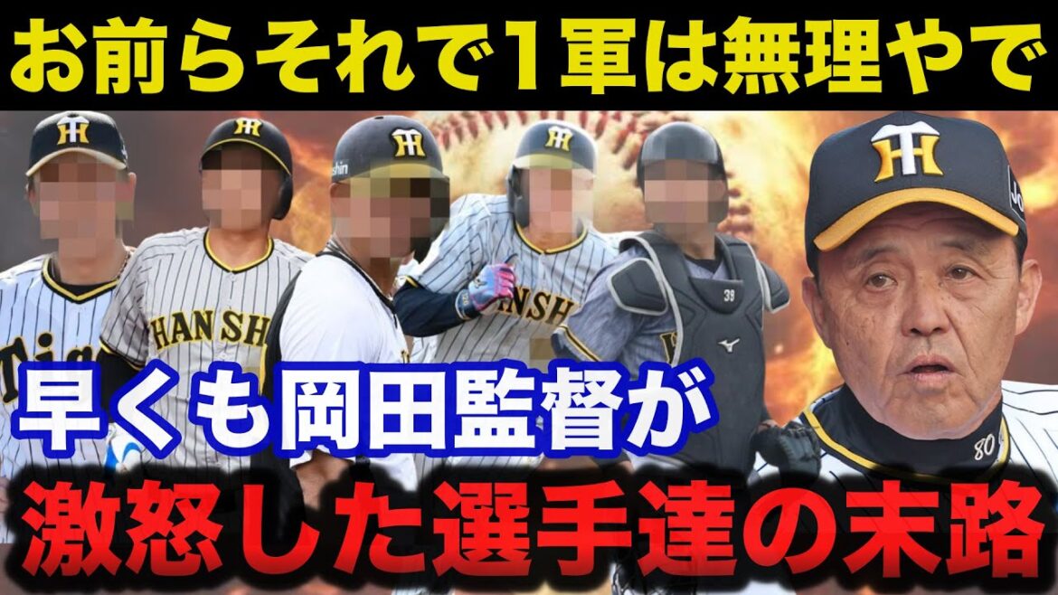 阪神.岡田監督「お前らそれで1軍は無理やで」岡田監督が早くも激怒した選手達の末路がヤバい【阪神タイガース】