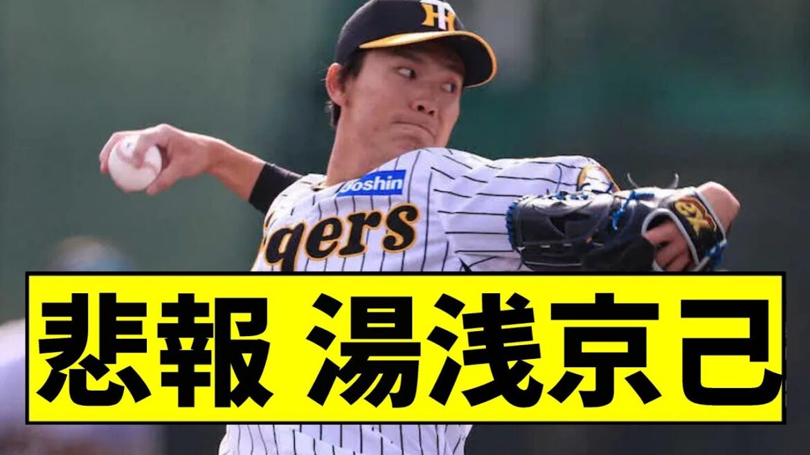【阪神】湯浅が大変なことになっていた...【2chスレ】