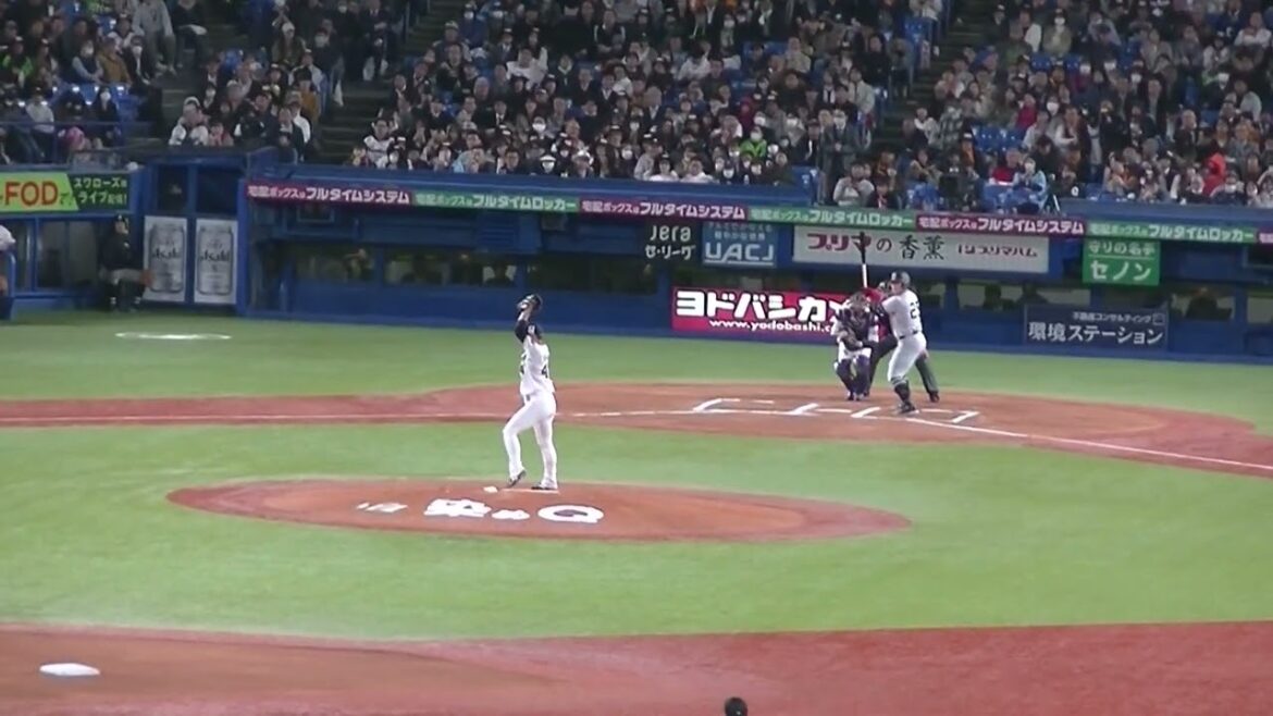 岡本和真を素晴らしいストレートで三振にとる高橋奎二（2024年4月11日 ヤクルトスワローズ 対 読売ジャイアンツ）