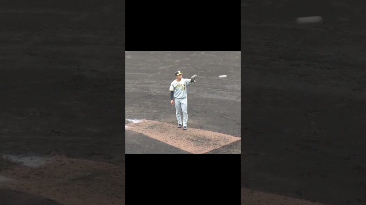 【タイガース】石井大智2024年 投球フォーム（巨人阪神オープン戦2024年2月23日）