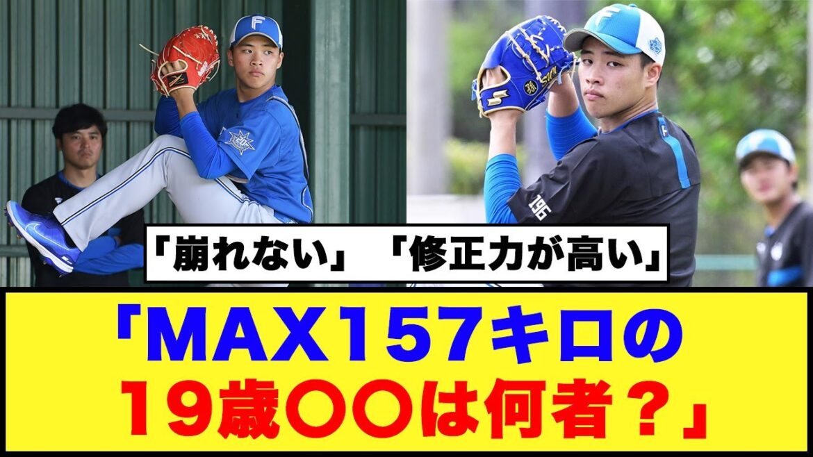 【日本ハム】「MAX157キロの19歳〇〇は何者？」【日本ハム反応集】【ネットの反応】#日本ハムファイターズ #新庄監督 #スン・イーレイ