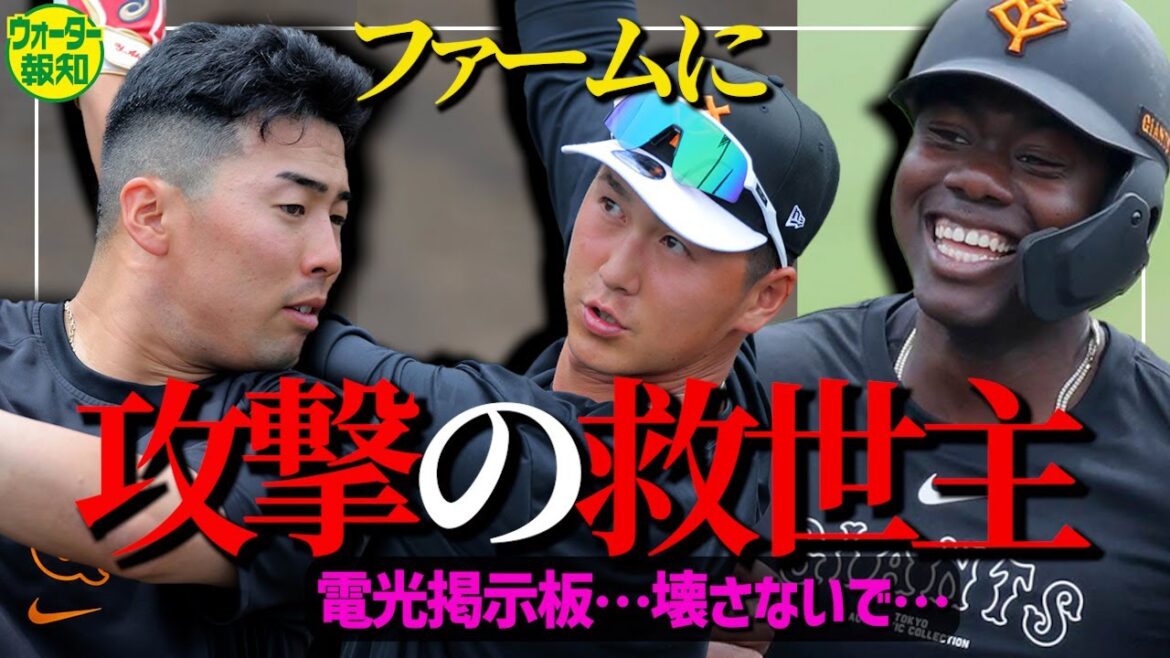 【G球場】怪物の一撃…電光掲示板直撃140m弾に騒然…浅野の思考チェンジ、秋広も上昇中【ウォーター報知】 【G球場】怪物の一撃…電光掲示板直撃140m弾に騒然…浅野の思考チェンジ、秋広も上昇中【ウォーター報知】