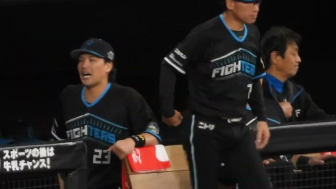 めちゃくちゃ雰囲気が良さそうなファイターズベンチ　エスコンフィールド北海道日本ハム対ロッテ