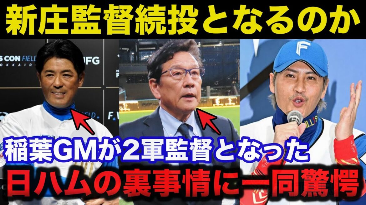 日ハム新庄監督続投なるか！稲葉篤紀がGMから二軍監督に降格となりCBOに栗山が就任した裏事情に一同驚愕【日本ハムファイターズ】