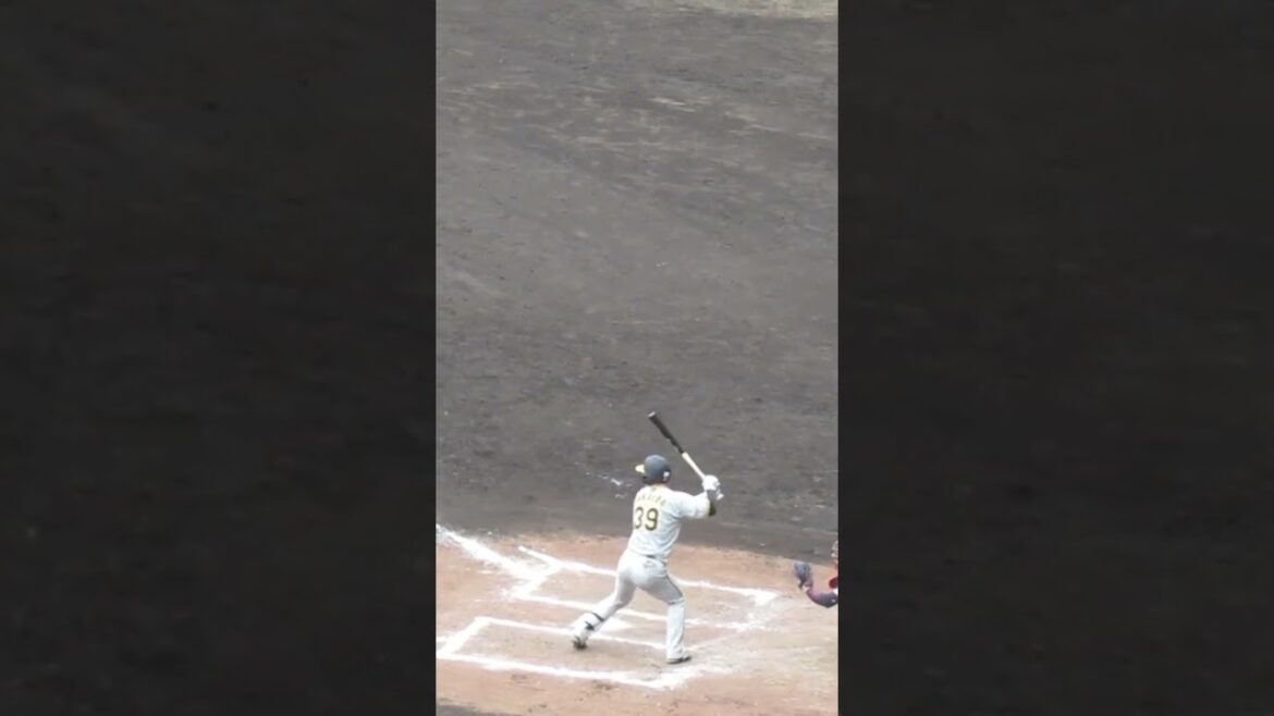 【タイガース】榮枝裕貴2024年 打撃フォーム （巨人阪神オープン戦2024年2月23日）