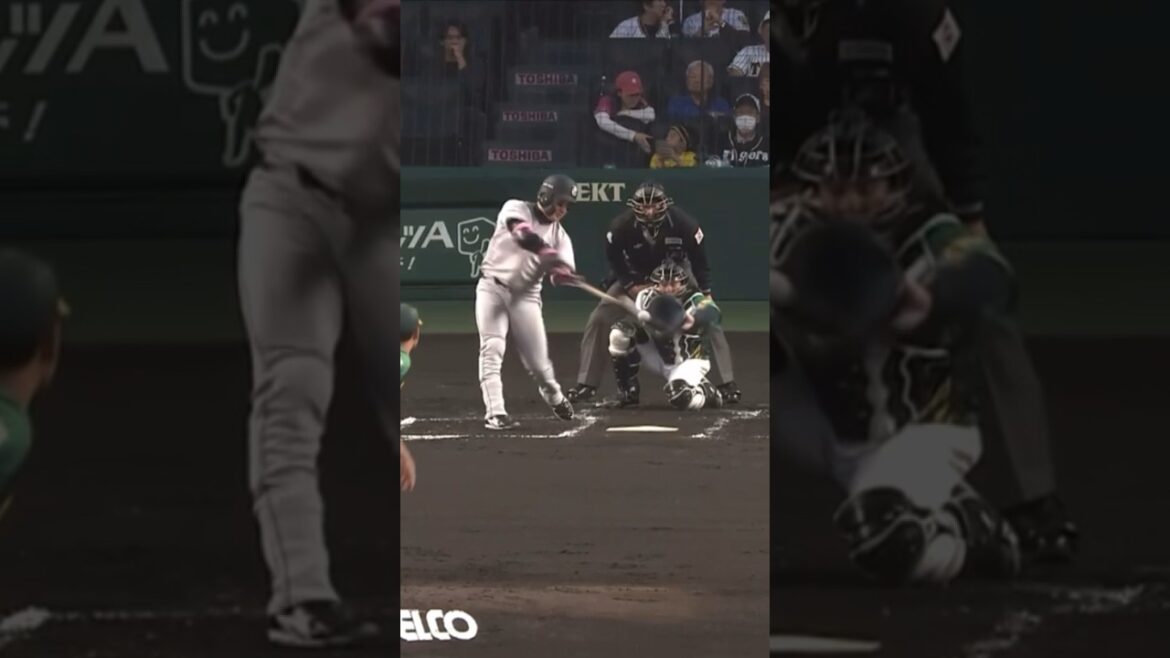 【プロ野球】丸佳浩が走って走ってスリーベースヒット！　#プロ野球 #読売ジャイアンツ #阪神タイガース #丸佳浩