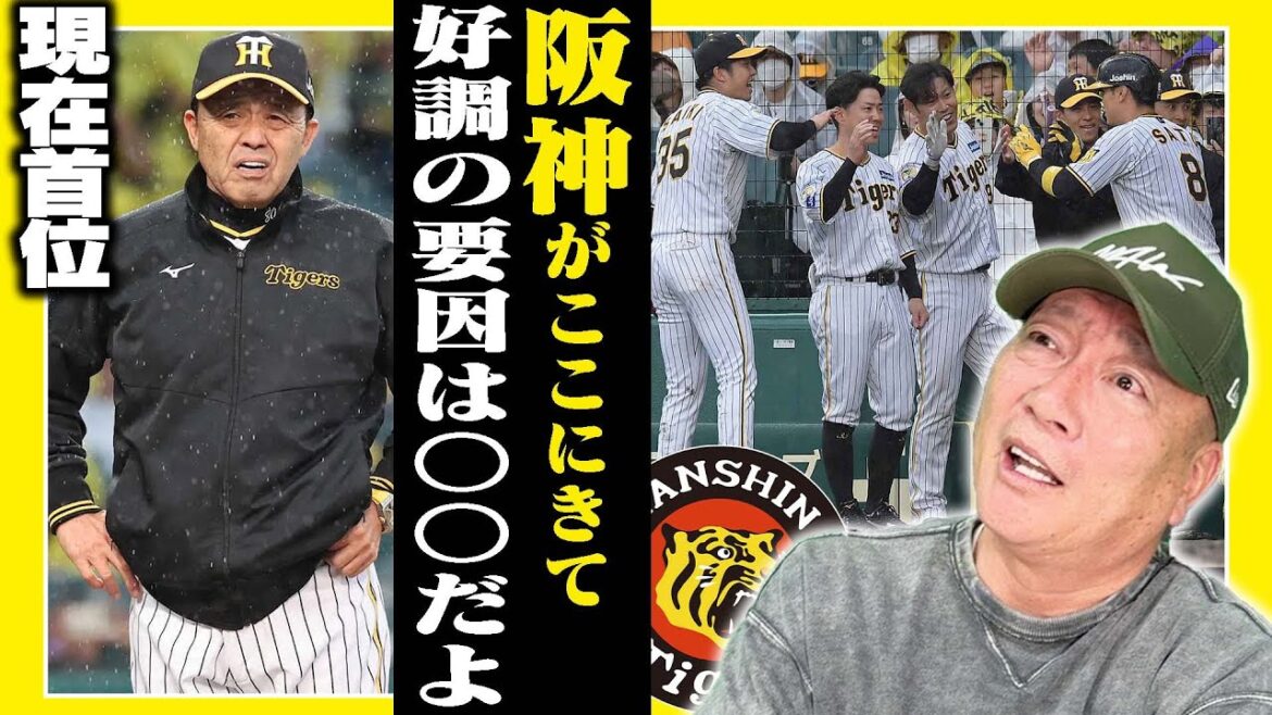 【阪神が首位へ】阪神が目覚めた要因は「間違いなく〇〇のせいだよ‼︎」高木豊が考える阪神好調の理由について