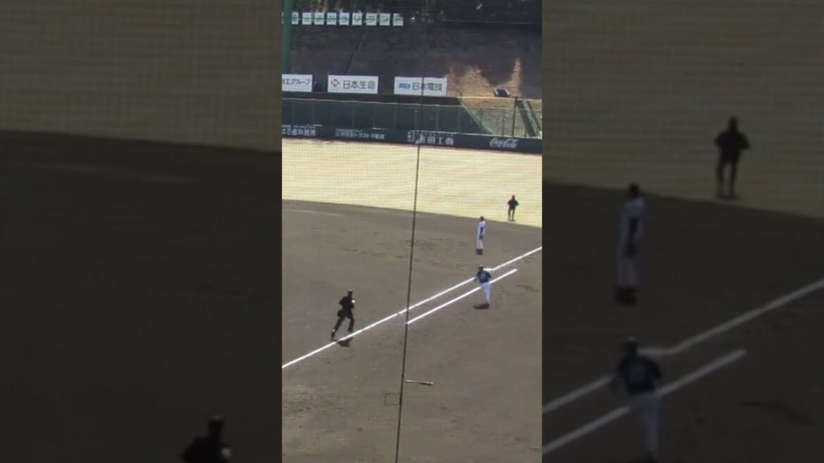 ライト立岡宗一郎が上手い（春季教育リーグ 読売ジャイアンツ対 西武ライオンズ2024年3月10日）