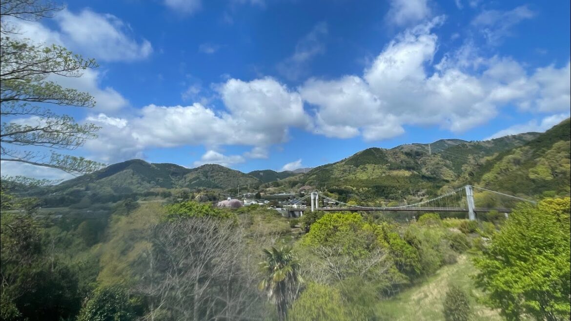 表丹沢 Trail Running （MF100前 最終調整）2024.4.17