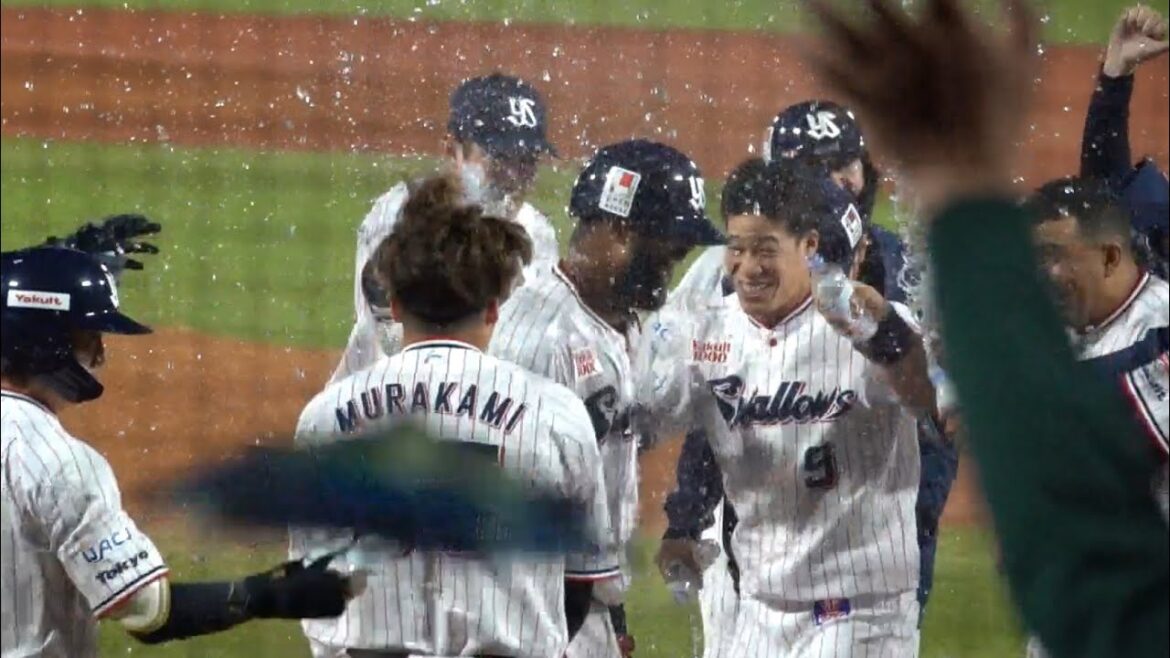 約4時間の試合にサンタナが終止符を打った！サヨナラホームランで祝福を受ける！東京ヤクルトスワローズ 2024/04/25