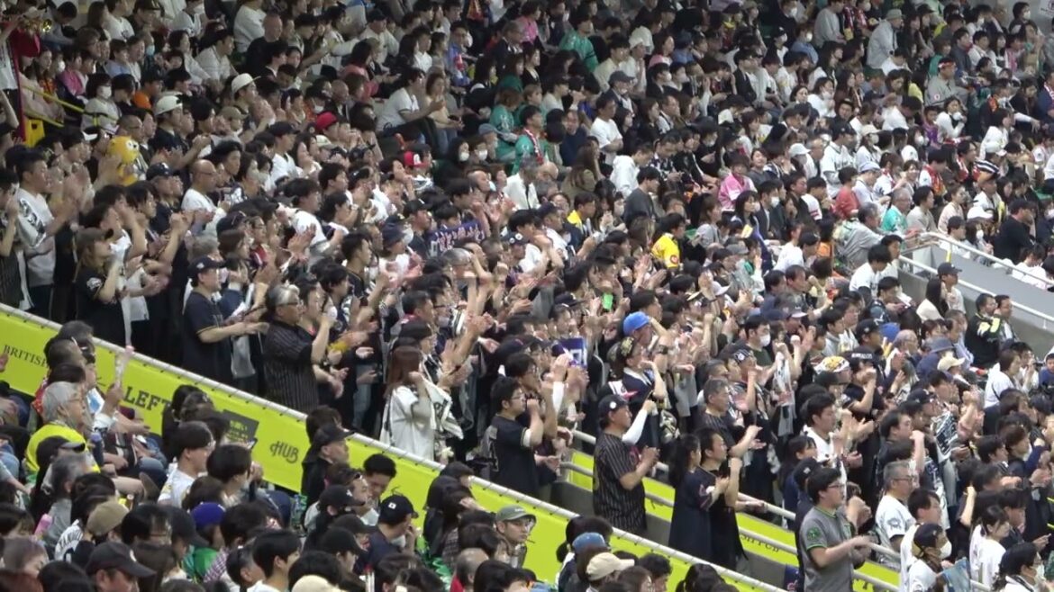 元坂口の応援歌　野口　応援歌マジでかっこいい