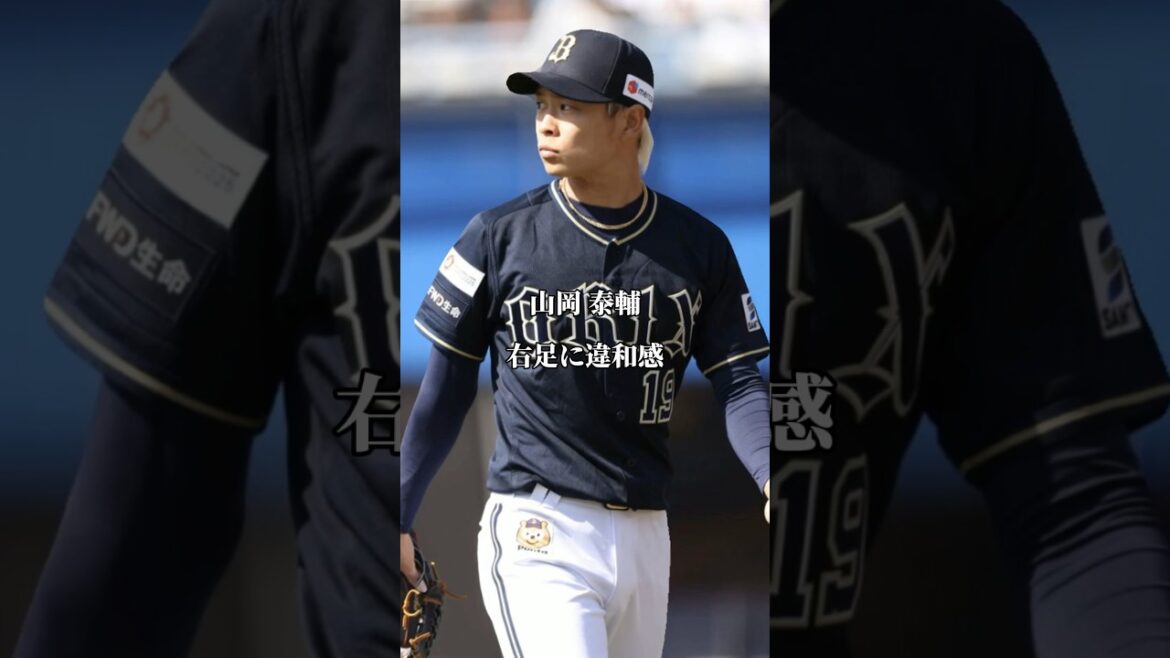 【早く帰ってきて】2024シーズン現在の故障離脱選手11名【オリックスバファローズ】