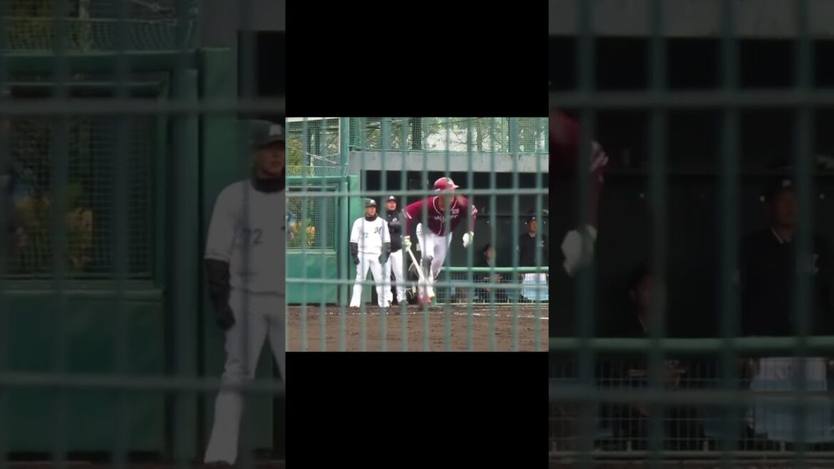 【ゴールデンイーグルス】吉野 創士の打撃フォーム2024年3月5日 春季教育リーグロッテ浦和球場 千葉ロッテ対 楽天イーグルス