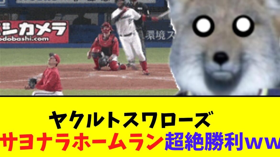 ヤクルトスワローズ　サヨナラホームラン超絶勝利ｗｗ