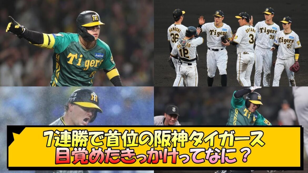 7連勝で首位の阪神タイガース、目覚めたきっかけってなに？【なんJ/2ch/5ch/ネット 反応 まとめ/阪神タイガース/岡田監督/梅野隆太郎/佐藤輝明】