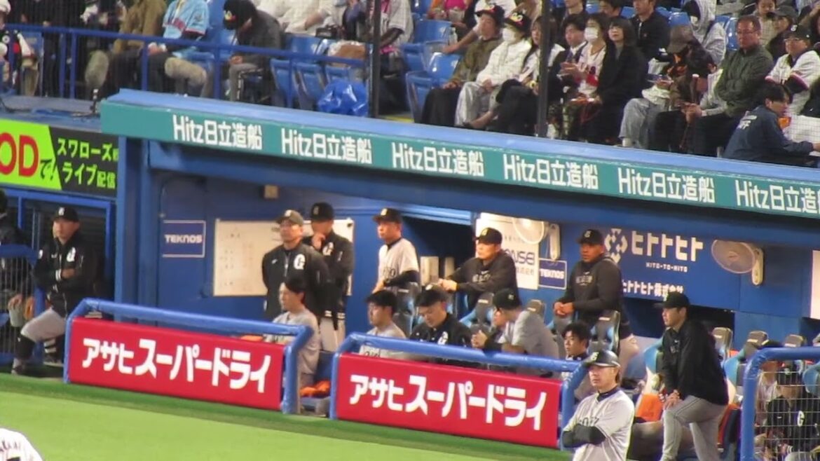 【巨人ベンチ】吉川尚輝のタイムリーに岡本和真と小林誠司が大喜び（ ヤクルトスワローズ対 読売ジャイアンツ2024年4月11日）